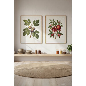 İncir Ve Nar 2’li Ahşap Çerçeveli Tablo Seti - Bitkisel Mutfak Dekoru 50x70 cm