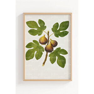 İncir Ve Nar 2’li Ahşap Çerçeveli Tablo Seti - Bitkisel Mutfak Dekoru 50x70 cm