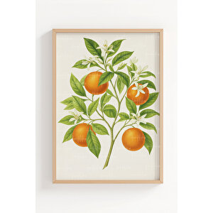 Portakal Ve Limon 2’li Ahşap Çerçeveli Tablo Seti - Bitki Ve Çiçek Dekoru 21x30 cm