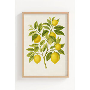 Portakal Ve Limon 2’li Ahşap Çerçeveli Tablo Seti - Bitki Ve Çiçek Dekoru 21x30 cm