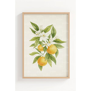 Zeytin Ve Portakal 2’li Ahşap Çerçeveli Tablo Seti - Bitki Ve Meyve Dekoru 50x70 cm