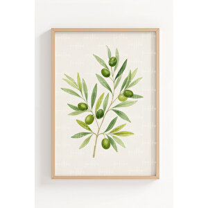 Zeytin Ve Portakal 2’li Ahşap Çerçeveli Tablo Seti - Bitki Ve Meyve Dekoru 30x42 cm