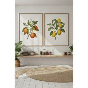 Portakal Ve Limon 2’li Ahşap Çerçeveli Tablo Seti - Bitki Ve Çiçek Dekoru 21x30 cm
