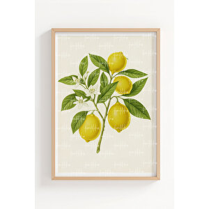 Portakal Ve Limon 2’li Ahşap Çerçeveli Tablo Seti - Bitki Ve Çiçek Dekoru 21x30 cm