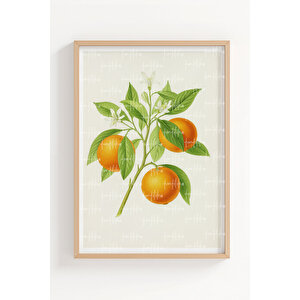 Portakal Ve Limon 2’li Ahşap Çerçeveli Tablo Seti - Bitki Ve Çiçek Dekoru 21x30 cm