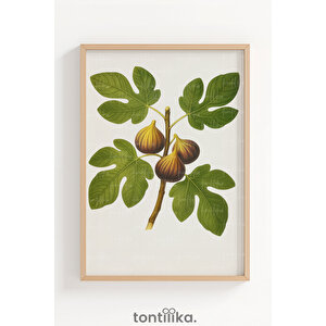 İncir Dalı Botanik Minimal Dekoratif Ahşap Çerçeveli Tablo – Japandi Modern Duvar Dekoru 50x70 cm