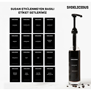 2’li Set 330ml Pompalı Cam Şurup Şişesi- Kahve & Kokteyl İçin, 18 Çeşit Siyah Etiket + Silikon Huni Hediyeli
