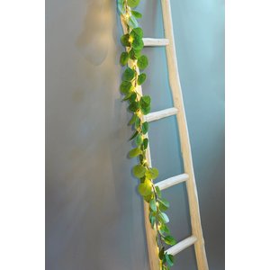 Okaliptus Led Işıklı Garland