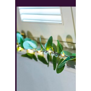 Okaliptus Led Işıklı Garland