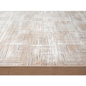 Vogue?vg003a Bej Gri Modern Renk Desen 100?tarak Viskon Salon Halısı İpek Serisi 240x340 cm