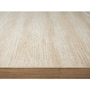 Cosmos Cs001b Bej Halı Modern Detaylı Pamuk Taban Viskon Tozuaz Salon Yatak Odası Koridor Halısı