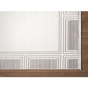 Fresco Fc005g Gri Çerçeveli Halı Modern Desen 100 Tarak Viskon Parlak Yumuşak İpek Serisi