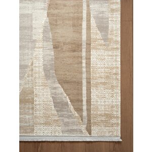 Vogue?vg004b Bej Modern Renk Desen 100?tarak Viskon Salon Halısı İpek Serisi