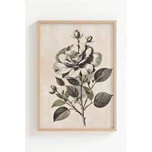Siyah Beyaz Çiçek İllüstrasyonları 3 Parçalı Ahşap Çerçeveli Tablo Seti