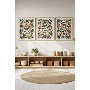 Kelebek Ve Çiçek Desenli 3’lü Ahşap Çerçeveli Tablo Seti - Doğa Temalı Dekor 50x70 cm