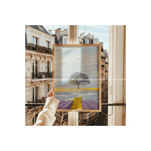 Doğanın Zarafeti 3 Parçalı Ahşap Çerçeveli Tablo Seti-2