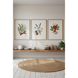 Baharat & Bitki Botanik 3’lü Dekoratif Ahşap Çerçeveli Tablo Seti – Mutfak Duvar Dekoru 50x70 cm