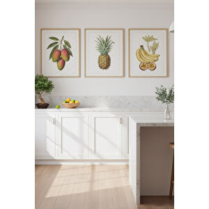 Mango Ananas Muz 3’lü Bitki Ve Çiçek Temalı Ahşap Çerçeveli Tablo Seti - Mutfak Dekoru 21x30 cm