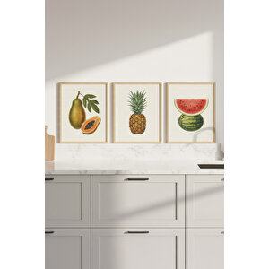 Papaya Ananas Karpuz 3’lü Bitki Ve Çiçek Temalı Ahşap Çerçeveli Tablo Seti - Mutfak Dekoru 21x30 cm
