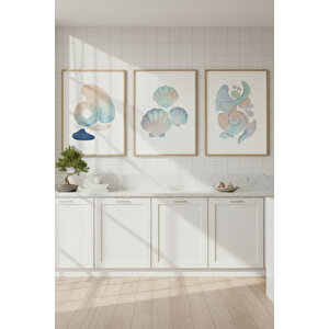 Deniz Kabukları 3’lü Modern Ahşap Çerçeveli Tablo Seti 21x30 cm
