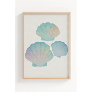 Deniz Kabukları 3’lü Modern Ahşap Çerçeveli Tablo Seti 21x30 cm