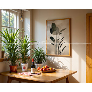 Minimal Yeşillikler 3'lü Ahşap Çerçeveli Tablo Seti-2 30x42 cm