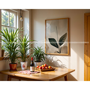 Minimal Yeşillikler 3'lü Ahşap Çerçeveli Tablo Seti-2