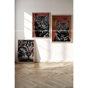 Kedi Portresi 3 Parçalı Ahşap Çerçeveli Tablo Seti-2 21x30 cm