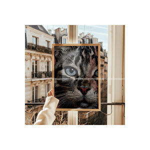 Kedi Portresi 3 Parçalı Ahşap Çerçeveli Tablo Seti-2 21x30 cm