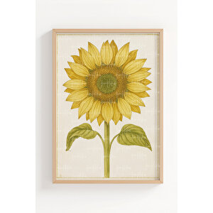 Ayçiçeği Ve Papatya 3’lü Vintage Ahşap Çerçeveli Tablo Seti - Mutfak Dekoru 21x30 cm