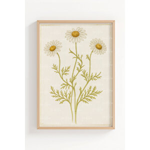 Ayçiçeği Ve Papatya 3’lü Vintage Ahşap Çerçeveli Tablo Seti - Mutfak Dekoru 30x42 cm