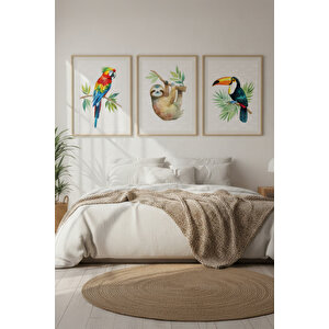 Egzotik Hayvanlar 3 Parçalı Ahşap Çerçeveli Tablo Seti 50x70 cm