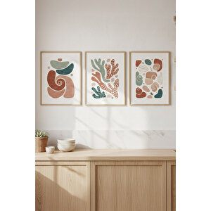Soyut Bitki Ve Deniz Kabukları 3’lü Modern Ahşap Çerçeveli Tablo Seti - Mutfak Dekoru 21x30 cm