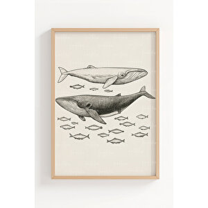 Deniz Canlıları 3’lü Ahşap Çerçeveli Tablo Seti 50x70 cm