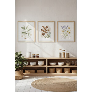 Bitki Ve Baharat İllüstrasyonları 3’lü Ahşap Çerçeveli Tablo Seti - Mutfak Dekoru 30x42 cm