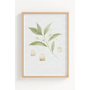 Bitki Ve Baharat İllüstrasyonları 3’lü Ahşap Çerçeveli Tablo Seti - Mutfak Dekoru 30x42 cm