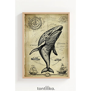 Vintage Deniz Canlıları 3 Parçalı Ahşap Çerçeveli Tablo Seti