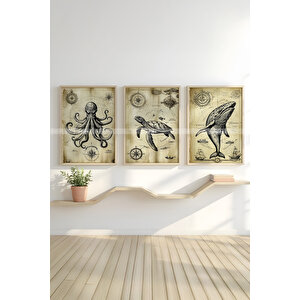 Vintage Deniz Canlıları 3 Parçalı Ahşap Çerçeveli Tablo Seti 50x70 cm