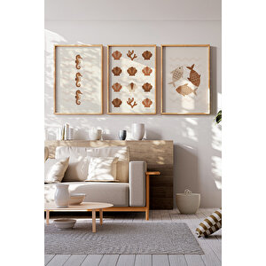 Deniz Canlıları Minimal 3 Parçalı Ahşap Çerçeveli Tablo Seti 50x70 cm