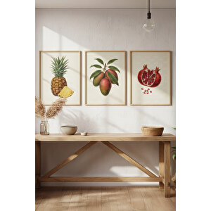 Ananas, Mango Ve Nar 3’lü Modern Ahşap Çerçeveli Tablo Seti - Mutfak Dekoru 30x42 cm
