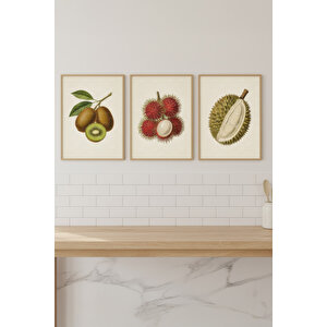 Kivi Rambutan Durian 3’lü Bitki Ve Çiçek Temalı Ahşap Çerçeveli Tablo Seti - Mutfak Dekoru 50x70 cm
