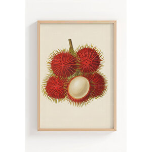Kivi Rambutan Durian 3’lü Bitki Ve Çiçek Temalı Ahşap Çerçeveli Tablo Seti - Mutfak Dekoru 50x70 cm