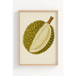 Kivi Rambutan Durian 3’lü Bitki Ve Çiçek Temalı Ahşap Çerçeveli Tablo Seti - Mutfak Dekoru 50x70 cm