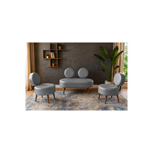 Dünya Modern Deri Koltuk Takımı | Şıklık Ve Konforun Buluşması | Ofis & Ev | Ceviz Ayak | Gri̇