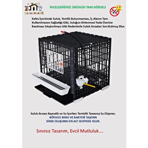 42cm X 42cm X 42cm Civciv Gelişim Kafesi Lgn40ds_cvc_ka