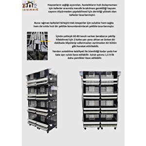 62cm X 62cm X 67cm Tavuk, Bantam, Piliç, Keklik, Ördek, Düz Tabanli Kafes Lgn60_tvdz_tk