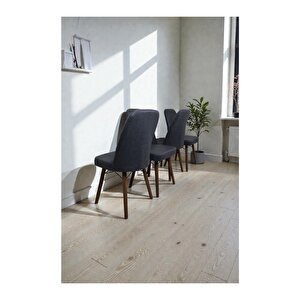 Hasa 4 Adet Sandalye – Ahşap Ayaklı, Ergonomik, Rahat Oturumlu Modern Mutfak Ve Yemek Sandalyesi Antrasit