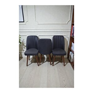Hasa 3 Adet Sandalye – Ahşap Ayaklı, Ergonomik, Rahat Oturumlu Modern Mutfak Ve Yemek Sandalyesi Antrasit