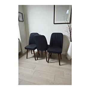 Hasa 3 Adet Sandalye – Ahşap Ayaklı, Ergonomik, Rahat Oturumlu Modern Mutfak Ve Yemek Sandalyesi Antrasit