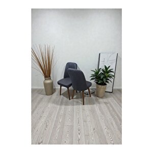 Hasa 2 Adet Sandalye – Ahşap Ayaklı, Ergonomik, Rahat Oturumlu Modern Mutfak Ve Yemek Sandalyesi Antrasit